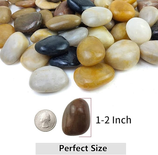 10lbs Pebbles for Indoor Plants, 1-2 Inch Mixed Color High Polished River Rocks Outdoor Decorative Stones Vase Filler Fish Tank Aquariums Landscaping Garden Outdoor and Indoor DIY