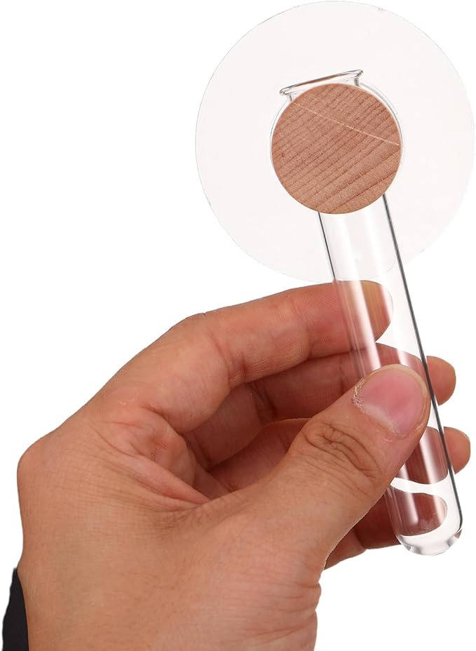 Milisten Plant Propagation Tubes: Wall Hanging Plant Terrarium with Wooden Stand Vase Glass Planter Stations for Hydroponic Flower Cutting Home Decor