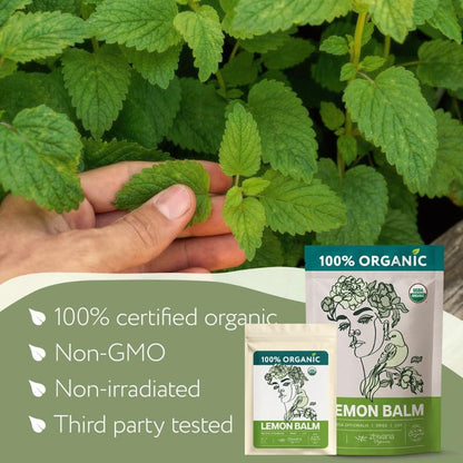 Lemon Balm Tea Organic - Lemon Balm Herb Loose Leaf - Melissa Tea, Tolonjil Tea Organic –- Anti-Stress, Sleep, Blood Pressure, Digestion - 4 Oz