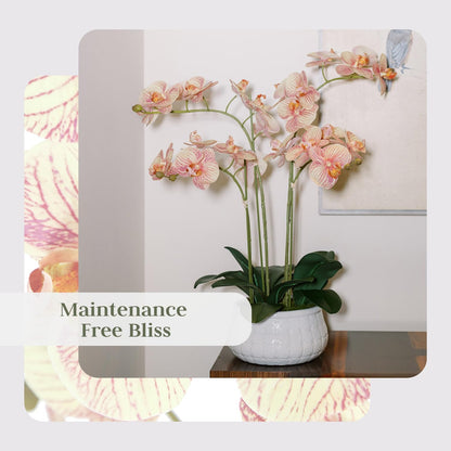 Faux Orange Orchid Plant, Premium Artificial Indoor Flower Display Stands 23”, Beautiful Sculptural Blooms That Lasts Forever, White Planter Pot Included