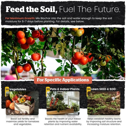 Wakefield Premium Biochar Blend – Organic Potting Soil for Vegetables, Tomatoes & Gardens – Potting Mix Enriched with Humic Acid & CarbonBoost – Versatile Top Soil for Indoor & Outdoor Plants-4quarts