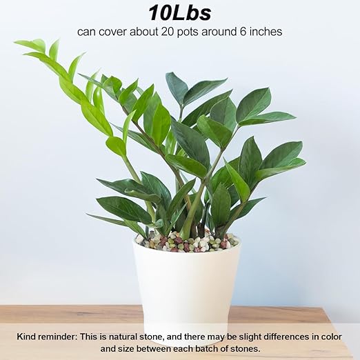 Landscaping Pebbles River Rocks Decorative Ornamental Pebbles Garden Landscaping Stones Gravel Filler for Home Decoration Flower Bed Fish Tank Plants Vases Succulents (1, Green, 10 Pounds)