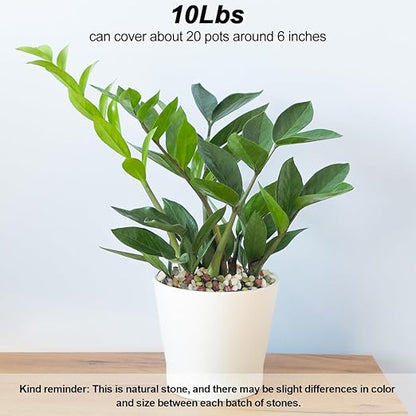 Landscaping Pebbles River Rocks Decorative Ornamental Pebbles Garden Landscaping Stones Gravel Filler for Home Decoration Flower Bed Fish Tank Plants Vases Succulents (1, Green, 10 Pounds)