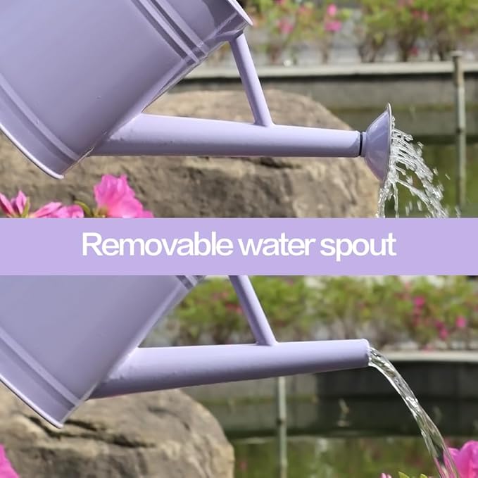 Metal Watering Can, One Gallon Watering Cans Stainless Steel for Outdoor Indoor Garden Plants Watering (Stainless Steel Handle Purple)
