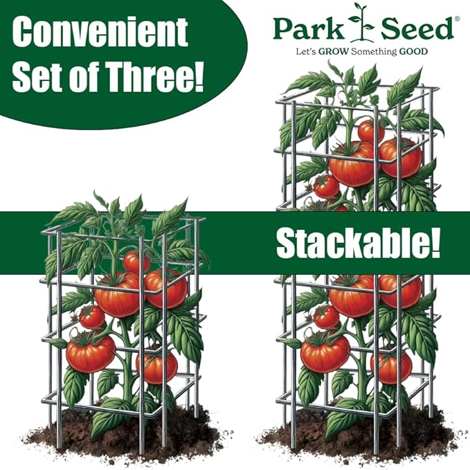 Park Seed Tomato Cages – 48" Tall Heavy-Duty Plant Supports for Tomatoes, Peppers, Cucumbers, and Climbing Vegetables, Foldable Metal Garden Trellis, Pack of 3