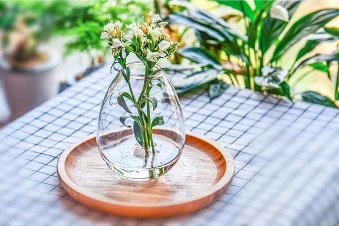 Kingbuy Wall Hanging Propagation Station Glass Plant Terrarium Container Egg Shape for Propagating Hydroponic Plants Home Office Garden Decor Wedding, 2 Pack