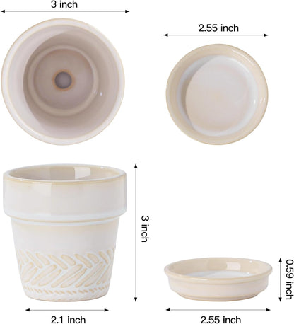Succulent pots,Indoor Small Succulent Bonsai,3 Inch Mini Ceramic Succulent Pots with Saucer and Drainage Hole, Decorative Planter for Succulent, Cactus, Set of 4.