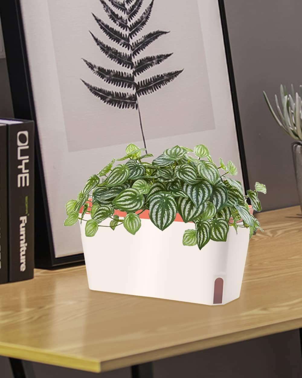 GardenBasix Self Watering Planter Pots Window Box for Indoor Plants Home Garden Modern Decorative Flower Pot for All House Herbs Succulents Set of 6 (6, Clay(Rectangle))