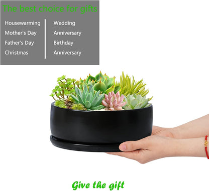 SQOWL 8 Inch Modern Round Flower Pot Black Ceramic Cactus Succulent Planter Pot with Removable Saucer