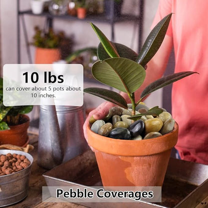 20lbs Pebbles for Indoor Plants, 1-2 Inch Mixed Color High Polished River Rocks Outdoor Decorative Stones Vase Filler Fish Tank Aquariums Landscaping Garden Outdoor and Indoor DIY