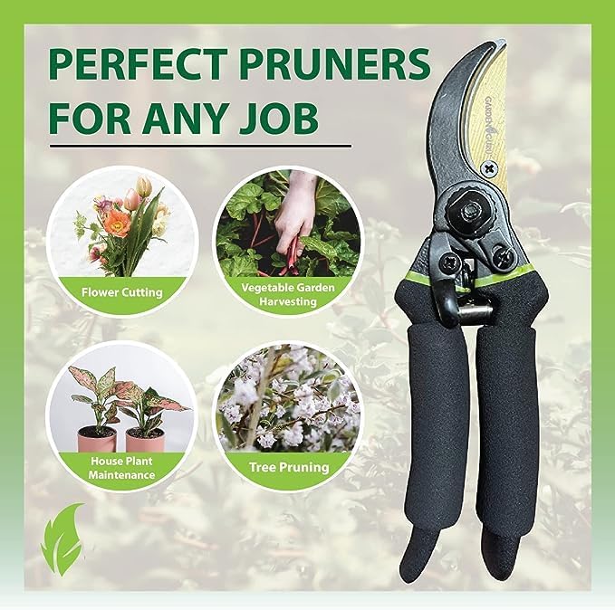 Garden Guru Soft Grip Garden Pruning Shears Scissors Clippers Hardened Titanium Blades Comfort Grips Heavy Duty Bypass Hand Pruners Branch Cutters for Gardening Trimming Bushes Flowers Plants (2 Pack)