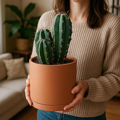 D'vine Dev Medium 8 Inch Terracotta Plant Pot with Drainage Hole and Saucer, Round Cylinder Planter Pot for Indoor Plants, Set of 2, 40-X-B-4