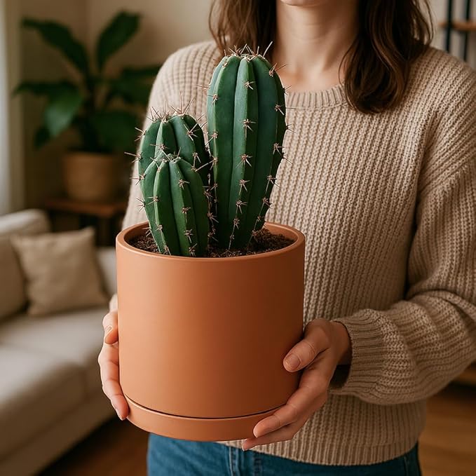 D'vine Dev Terracotta Pots for Plants, 6.5 Inch 8.3 Inch 10 Inch, Round Cylinder Planter Pot with Drainage and Saucer, 40-T-C-0