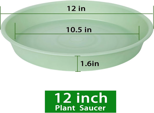 6 Pack of 12 inch Plant Saucer, Heavy Duty Plastic Plant Saucer 12" Round, Durable Plant Tray for Pots, Plant Saucers for Indoors, Plant Trays for Planter (12", Light Green)