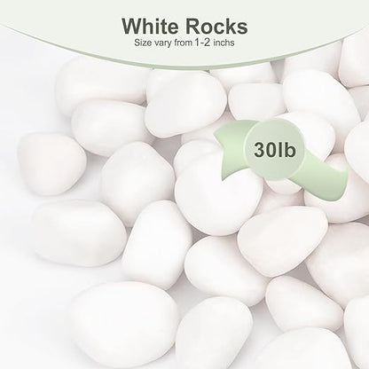 30 lbs White Rocks for Plants Indoor, 1-2 inch Decorative Garden Stone Outdoor Landscaping, Walkways, Yard, Large Polished River Rocks for Plants Pots, Vases, Crafts