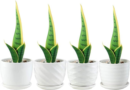 Plant Pots - 4.7 Inch Cylinder Ceramic Planters with Connected Saucer, Pots for Succuelnt and Little Snake Plants, Set of 4, White
