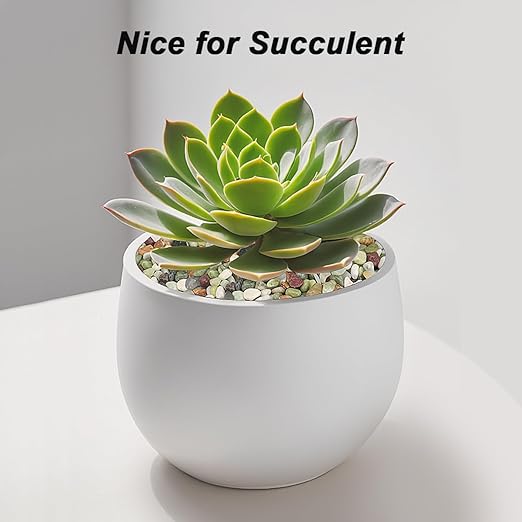 Landscaping Pebbles River Rocks Decorative Ornamental Pebbles Garden Landscaping Stones Gravel Filler for Home Decoration Flower Bed Fish Tank Plants Vases Succulents (1, Green, 1 Pound)