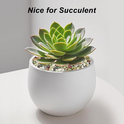 Landscaping Pebbles River Rocks Decorative Ornamental Pebbles Garden Landscaping Stones Gravel Filler for Home Decoration Flower Bed Fish Tank Plants Vases Succulents (1, Green, 1 Pound)