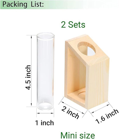 Propagation Station, Plants Terrarium, Plants Lover Gifts for Women,Plant Cutting Holder Home décor,Gifts for Women,House Warming New Home-2 Tubes-Beige