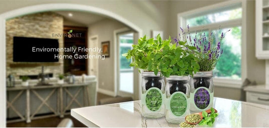 Hydroponic Herb Growing Kit, Self-Watering Mason Jar Herb Garden Starter Kit Indoor, Windowsill Herbs Garden, Grow Your Own Herbs from Organic Seeds (Rosemary)