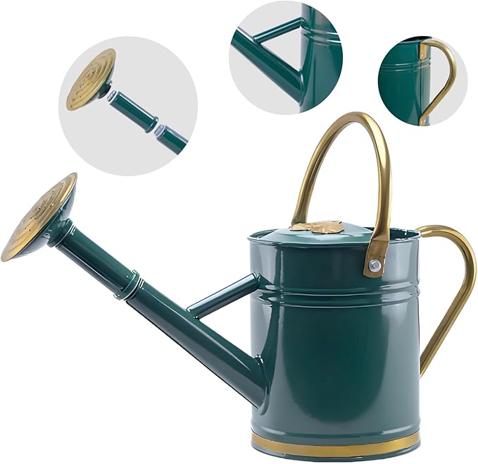1 Gallon Galvanized Metal Watering Can with Solid Brass Sprout, Handle & Base Trim - Genuine Forged Copper Joints for Indoor/Outdoor Plants, Garden, Balcony for Kids and Adults (Emerald Brass)