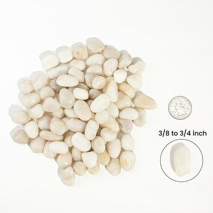 2 LBS River Rocks, StoneCreek, Decorative Garden Stones for Plant Landscaping, Polished Gravel Filler Pebbles for Home Decoration, Vases, Succulents, Flower Beds and Fish Tanks (White, Medium)