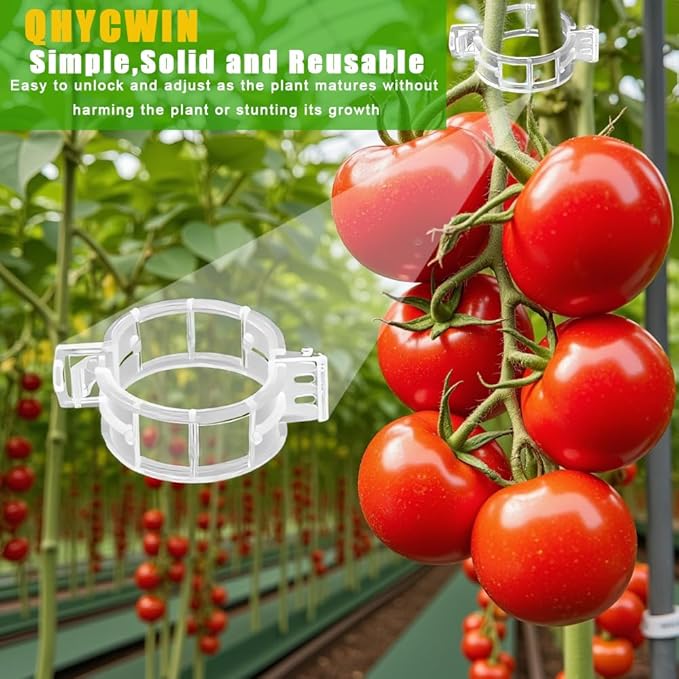 300 Pcs Plant Support Clips, 2 Types in 1 Pack, Plastic Garden Clips for Tomato, Grape, Cucumber, Vine Plants, Reusable Plant Clips for Climbing Plants (Green White)