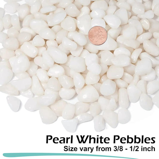 GASPRO 10 lbs White Pebbles for Plants, Vases, and Landscaping in Garden - Highly Polished 3/8" Small Rocks for Indoor and Outdoor Decor