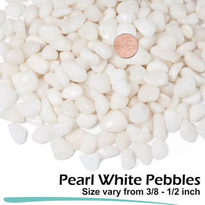GASPRO 5lb Pebbles for Indoor Plants, Vases, Succulent, 3/8" Small Decorative White Rocks, High Polished