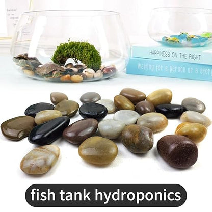 10LB Mixed Color River Rocks - 2-3 inch High Polished Decorative Pebbles, Stones for Landscaping, Natural River Rocks for Outdoor Décor, Plants,Vase Filler,Fish Tank