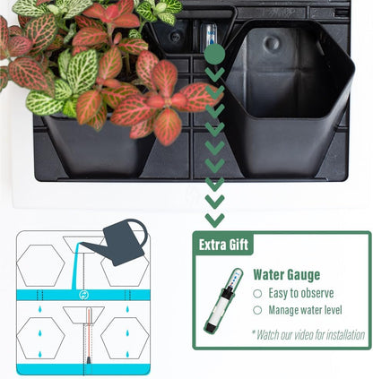 Self Watering Wall Planter with 4 Pots - Easy to Create Indoor Living Wall for Home, Office and Shop Front - Includes Water Gauge (White)