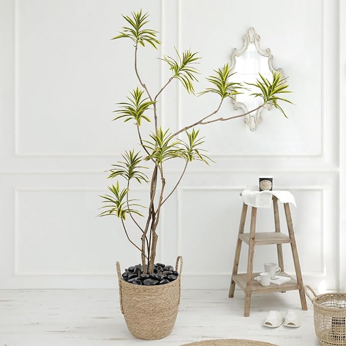 5 lbs Polished Black River Rocks, 1-2 Inch Decorative Pebbles for Indoor Plants. Black Stones for Planters, Vase, Garden Landscape and Outdoor Decorative Stones