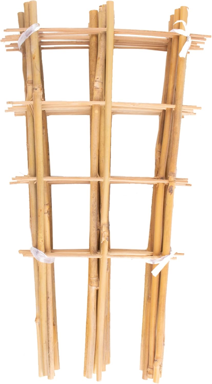 Avalution 10 Pack Bamboo Trellis for Climbing Plants 16" Natural Garden Ladder Trellis, Fan -Shaped Plant Support Trellis for Potted Plant Decor