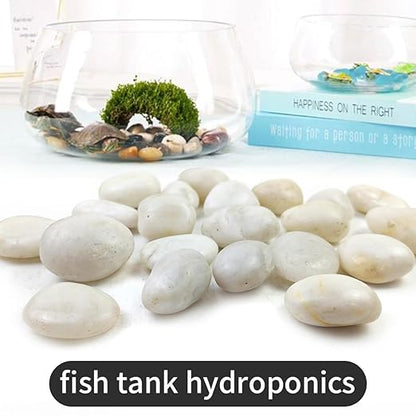 10LB White River Rocks - 2-3 inch High Polished Decorative Pebbles for Landscaping, Outdoor Decor and Plants