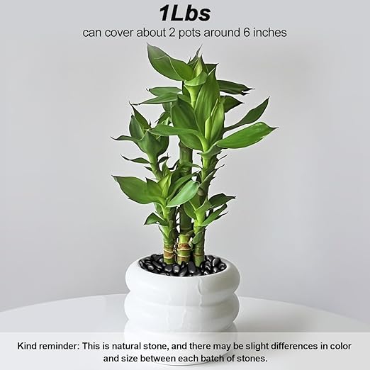 Landscaping Pebbles River Rocks Decorative Ornamental Pebbles Garden Landscaping Stones Gravel Filler for Home Decoration Flower Bed Fish Tank Plants Vases Succulents (1, Black, 1 Pound)