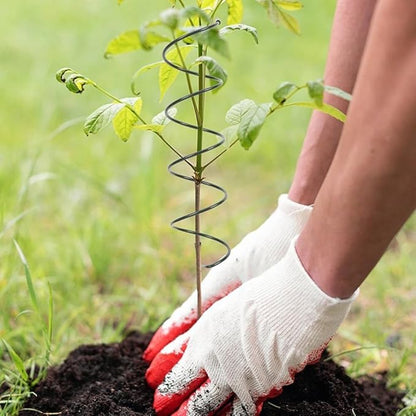 Climbing Plants Support Rack for Tomatoes and Clematis Sturdy Flower Support Stakes for Vertical Growth (B)
