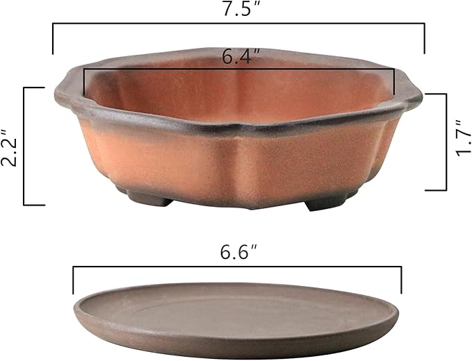 MUZHI 7.5” Unglazed Flower Shape Clay Bonsai Pot with Ceramic Saucer, Color Gradational Shallow Terracotta Planter for Tree Cactus Succulent Arrangement