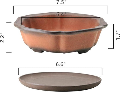 MUZHI 7.5” Unglazed Flower Shape Clay Bonsai Pot with Ceramic Saucer, Color Gradational Shallow Terracotta Planter for Tree Cactus Succulent Arrangement