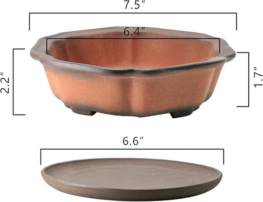 MUZHI 7.5” Unglazed Flower Shape Clay Bonsai Pot with Ceramic Saucer, Color Gradational Shallow Terracotta Planter for Tree Cactus Succulent Arrangement