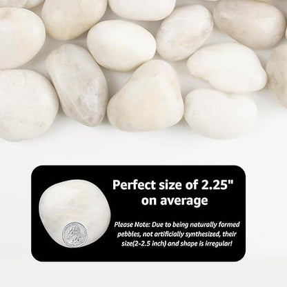 Natural Polished White River Rocks, 2-3 inches, 40 lbs - Perfect for River Rocks in Landscaping, Natural White Decorative Stones, Potted Plant Decorations, and Garden Design (White, Weight: 40 LB)