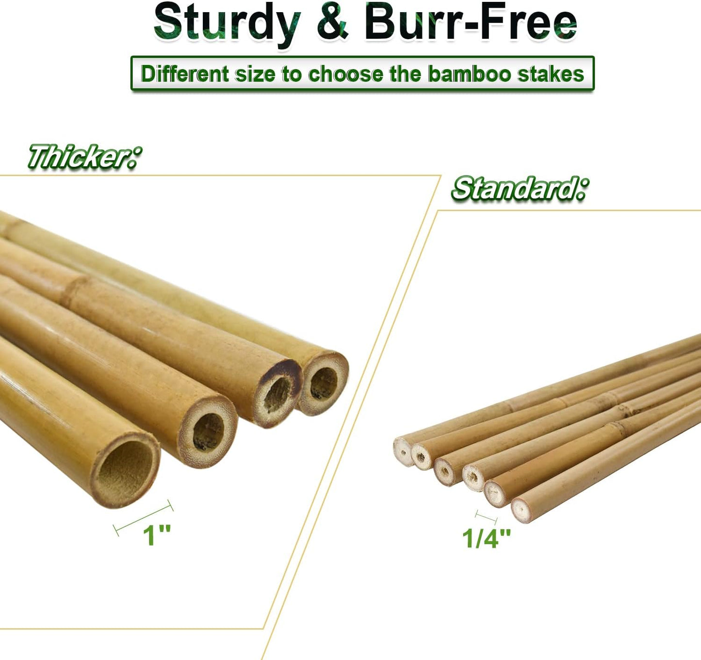 10pcs 1" D Thicker Heavy Duty Bamboo Stakes, 8FT Plant Stakes, Natural Garden Stakes for Tomato, Bean, Flowers,Trees Potted and Climbing Plant Support