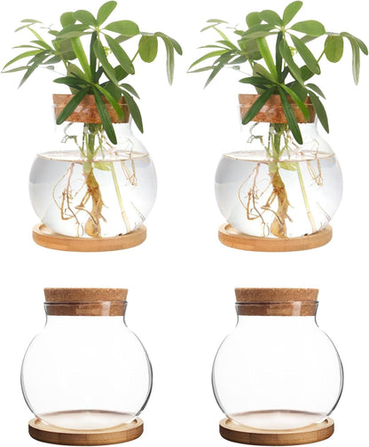 Plant Propagation Station,Hydroponic Glass Container Vase Jars, with Wooden Saucer for Desks, Houses, Garden Decorations, Home Kitchen Decorations and Gifts for Plant Lovers (4)