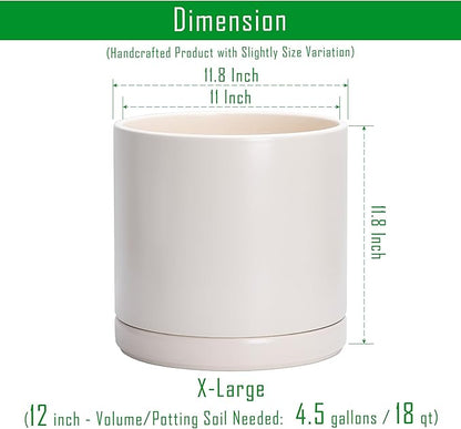 D'vine Dev 12 Inch Ceramic Planter Pot with Drainage Hole and Saucer, Indoor Cylinder Round Planter Pot, Oatmeal, 94-O-F-8