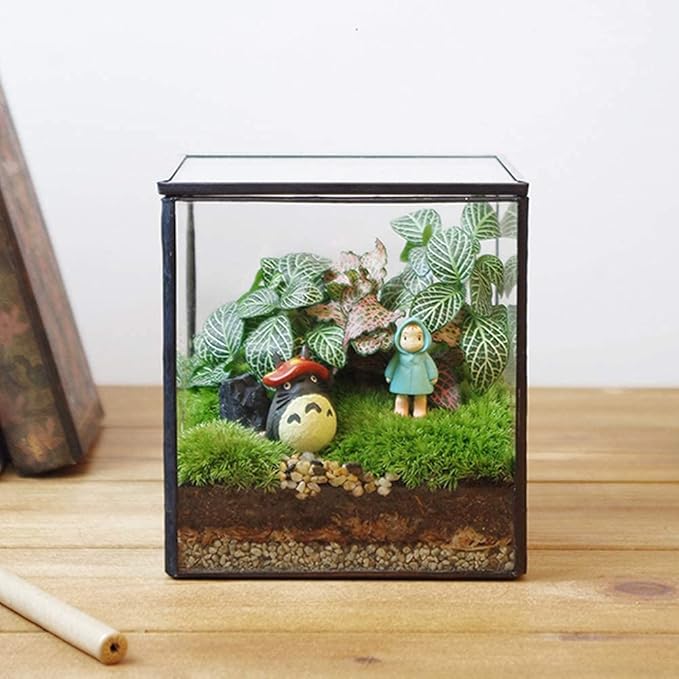 Small Square Glass Terrarium with Lid,Geometric Clear Box for Indoor Plants,Black Little Handmade Planter Pot for Succulents,Moss and Air Plant Fern,Home Garden Decor,4.3 x 4.3 x 4.7inch