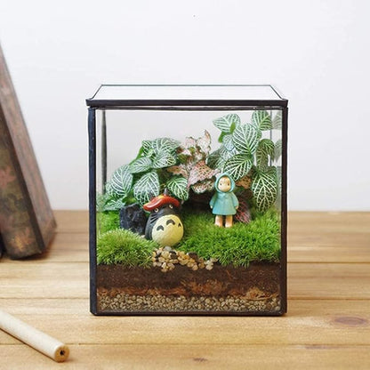 Small Square Glass Terrarium with Lid,Geometric Clear Box for Indoor Plants,Black Little Handmade Planter Pot for Succulents,Moss and Air Plant Fern,Home Garden Decor,4.3 x 4.3 x 4.7inch