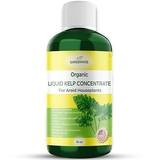 Organic Premium Seaweed Fertilizer - Liquid Kelp Plant Food for Aroid Houseplants: Monstera, Philodendron, Pothos, ZZ Plant, Dieffenbachia, Alocasia, Caladium (16 OZ)