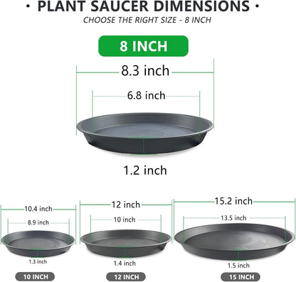 6 Pack 8-Inch Gray Plant Saucer Trays, Durable PP Plastic Pot Bases for Small Medium Planters, Modern Round Flower Pot Water Catcher Plates & Drip Trays for Indoor Plant Care