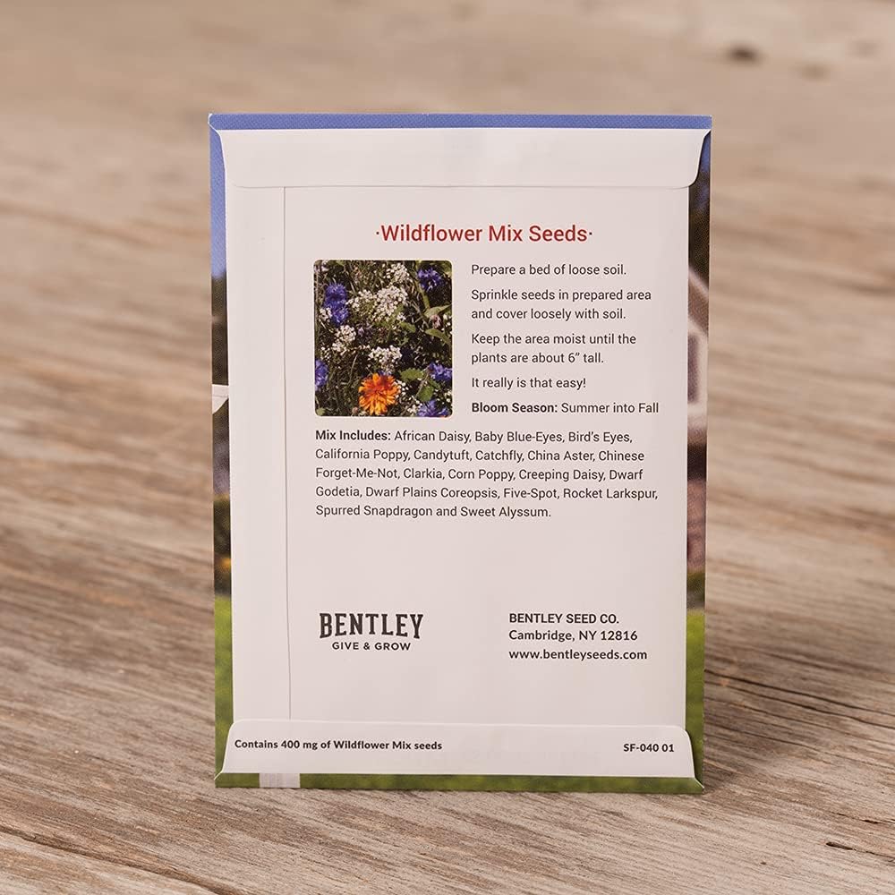 Bentley Seeds Where Memories Grow Wildflower Mix - 25 Individual Flower Seed Packets - Great Gifts for New Homeowners, Baby Shower, Wedding - Non-GMO Wildflowers