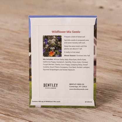 Bentley Seeds Where Memories Grow Wildflower Mix - 25 Individual Flower Seed Packets - Great Gifts for New Homeowners, Baby Shower, Wedding - Non-GMO Wildflowers