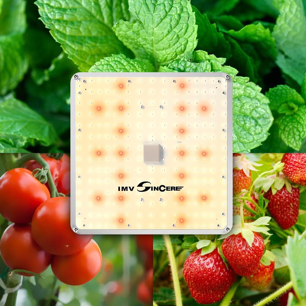 IMVSINCERE LED Grow Lights, 2025 100W Full Spectrum Grow Light with Samsung LM301 Diodes, Seedling, Veg & Bloom, Dimmable Sunlike for Indoor Plants 3x3 Grow Tents High PPFD
